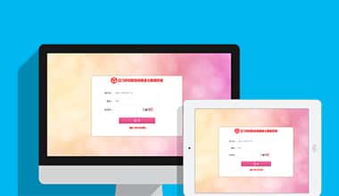 海南市妇联数据信息三级报送系统