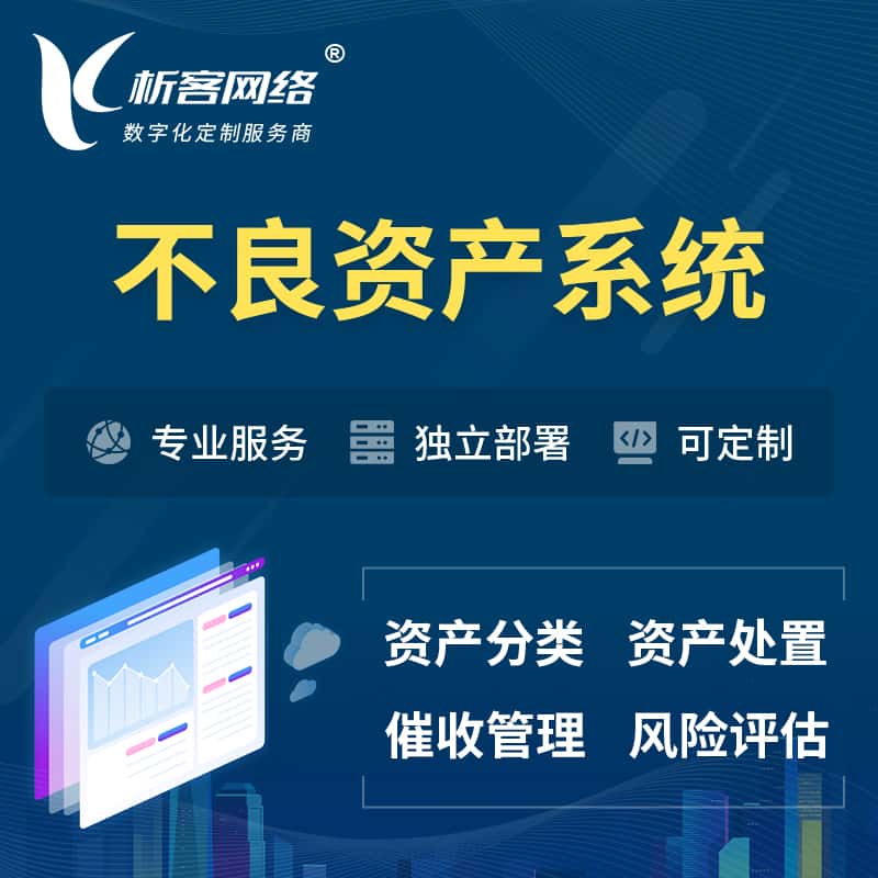 海南不良资产管理系统