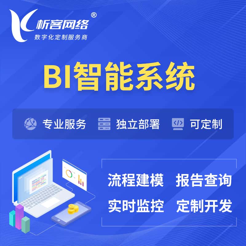 海南BI智能系统 | BI数据可视化